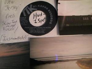 Hud-2 vinyl photos 890